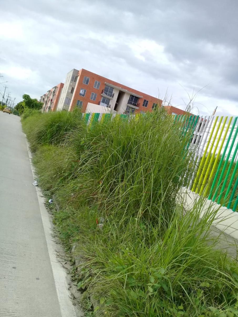 Zonas verdes de la Arboleda Campestre