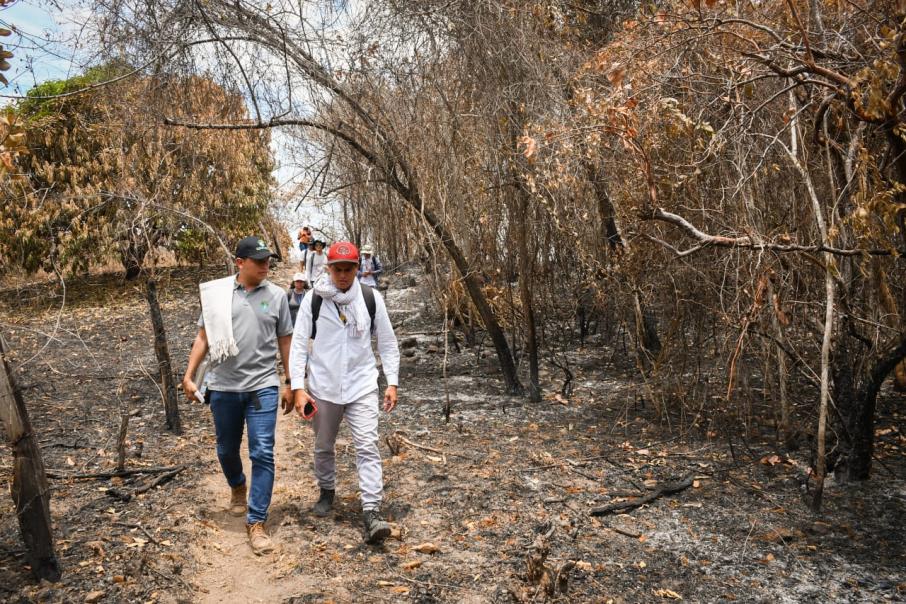cortolima incendio natagaima