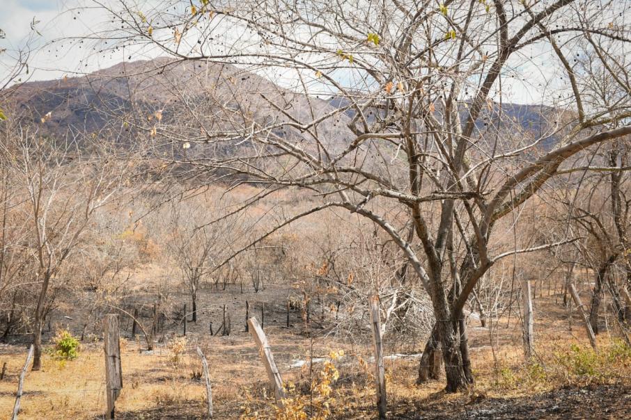 incendio natagaima