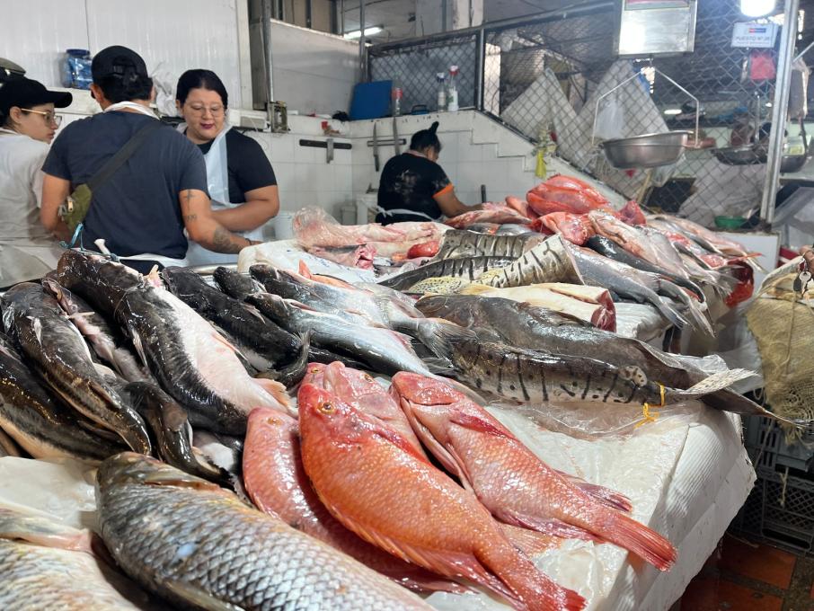 Venta de pescado en las plazas de mercado de Ibagué en Semana Santa