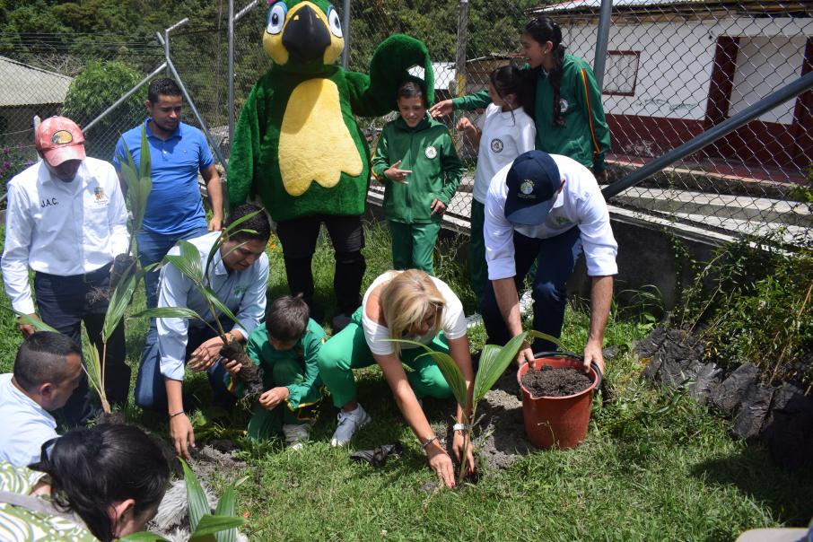 Directora de Cortolima sembrando una Palma de Cera en la zona verde de la escuela de Toche en Ibagué