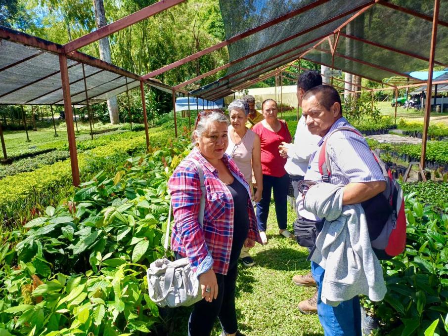 Alcaldía de Ibagué