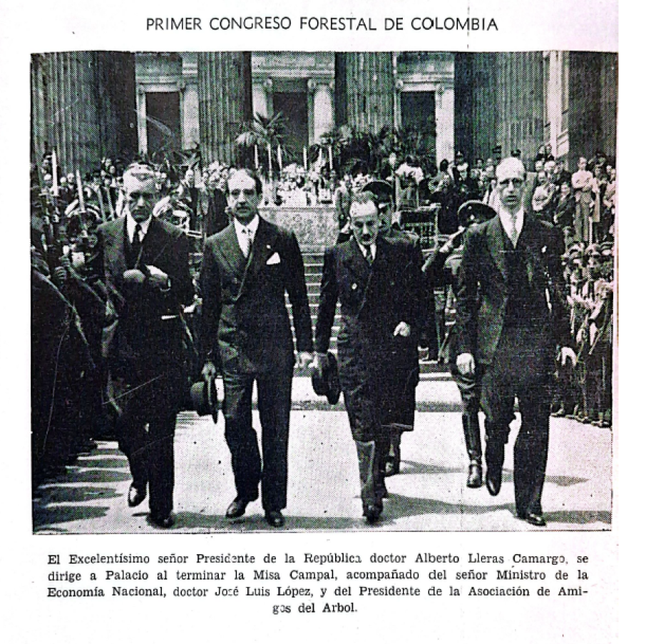 historia evento forestal