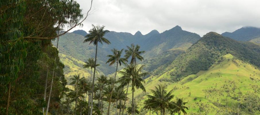 toche camino antoguo
