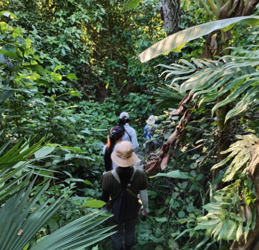 bienestar noveno congreso