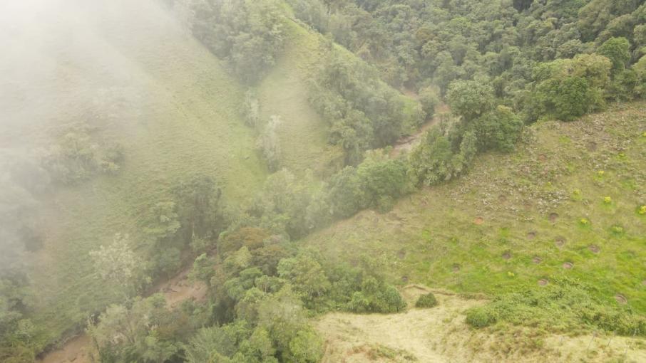 Avalancha Villahermosa