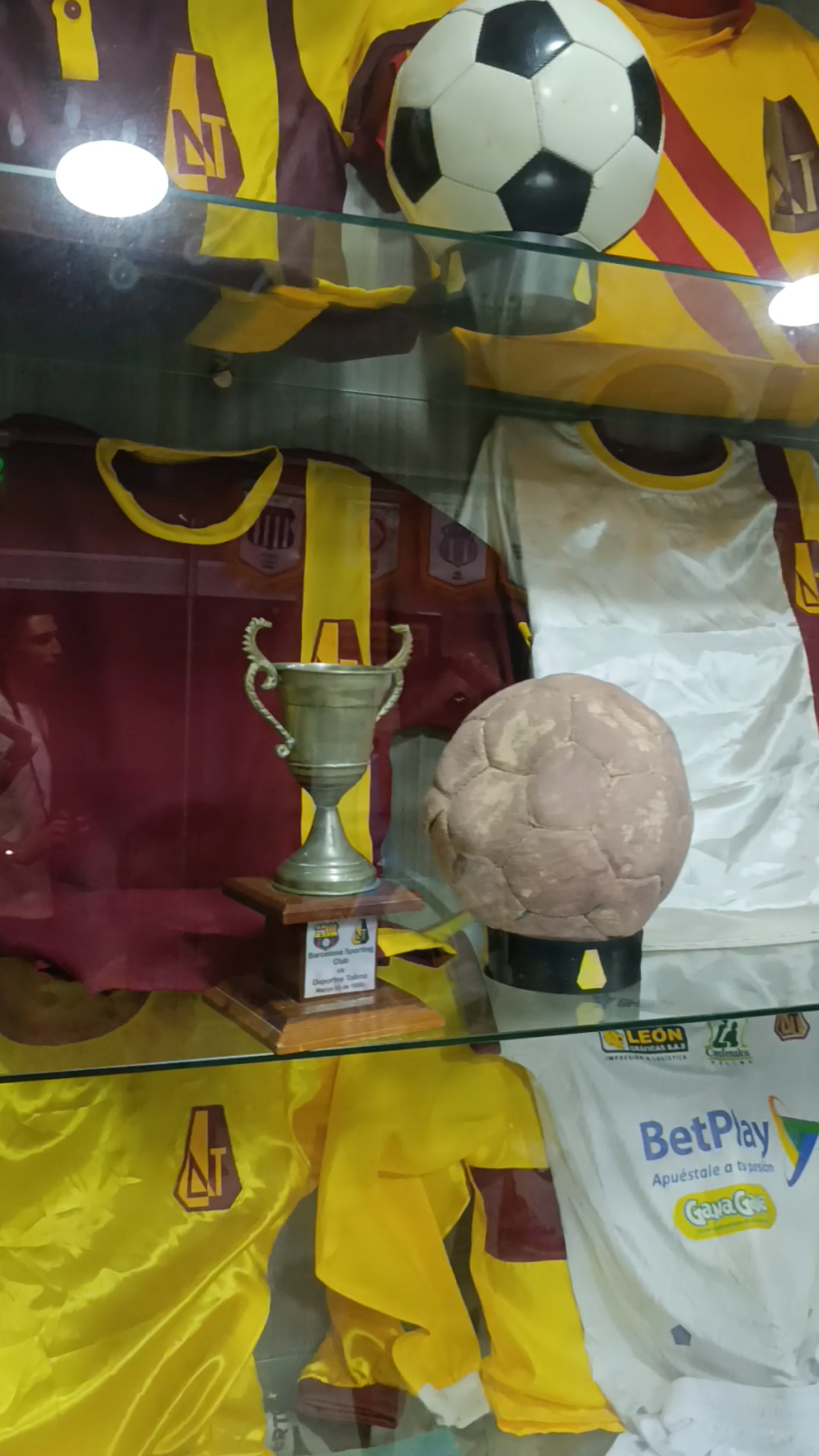 trofeos del museo lineal