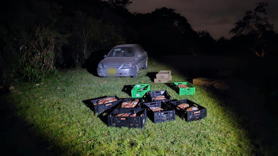 Vehículo recuperado