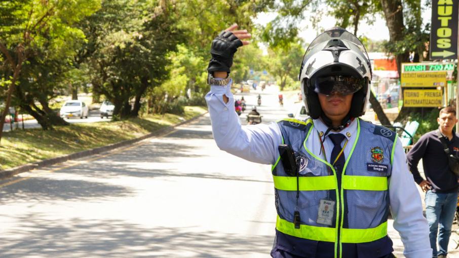 transito 