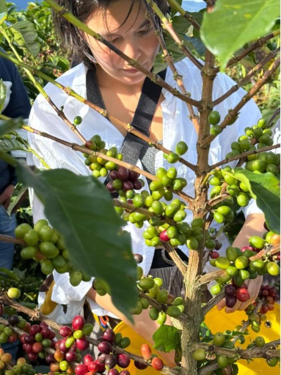 whatsapp_image_2026-04-20_at_10.32.19.jpeg