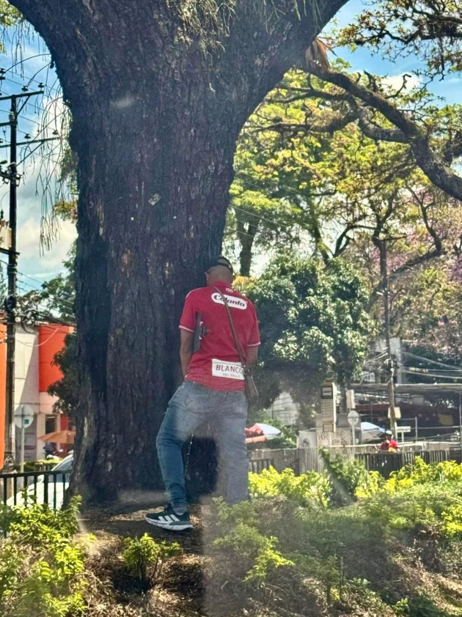 Sancionan a ciudadano por orinar en separador de la carrera Quinta durante las festividades de San Juan