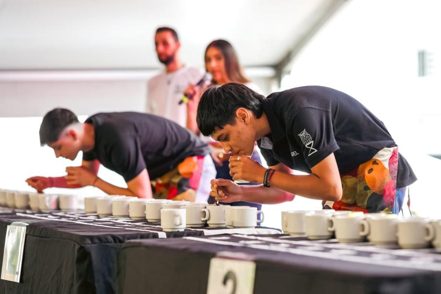 Ibagué Café Festival