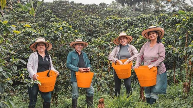 Proyecto Renacer de Nuestra Tierra Cafetera' en Melgar