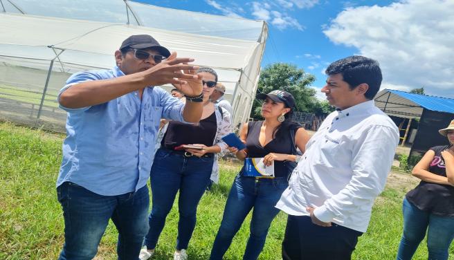 Cultivadores de albahaca Flandes 2024 mayo 23