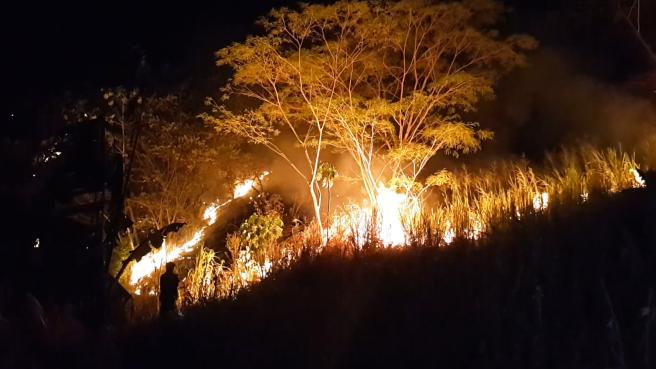 CORTOLIMA