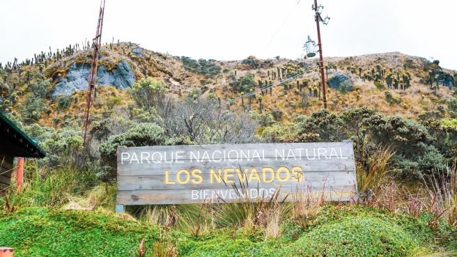 Naturaleza 