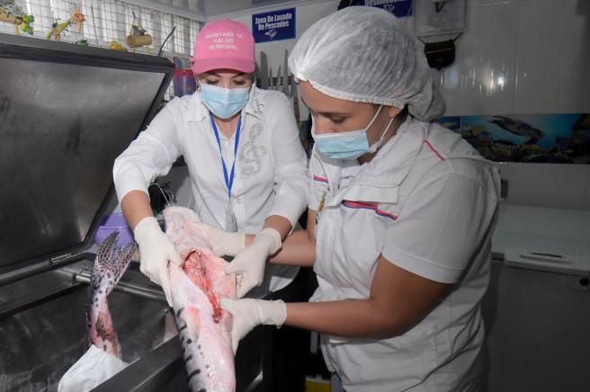 Jornada de salubridad en la Plaza El Jardín de Ibagué