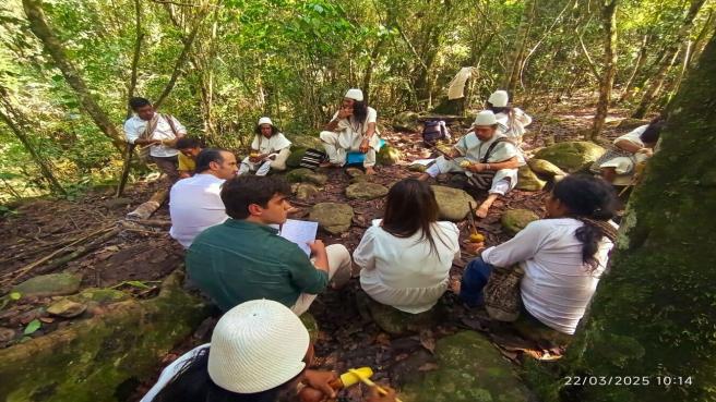 TokeNatura nació a partir de su experimentación con la tecnología blockchain en el contexto de activos inmobiliarios.