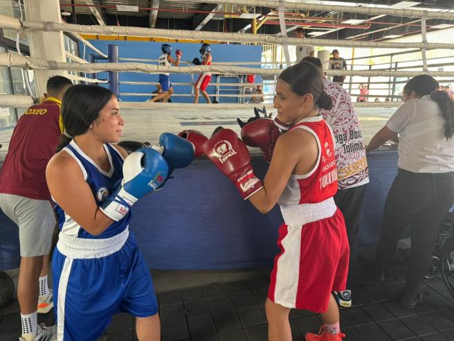 boxeadoras tolimenses