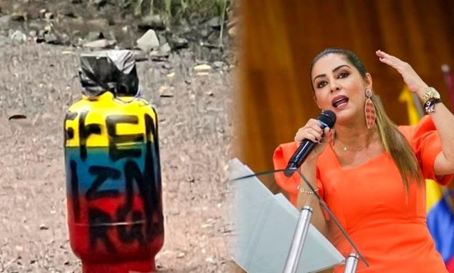 Gobernadora del Tolima expresó su profunda preocupación y rechazo ante los actos violentos registrados en las últimas 48 horas en el sur del departamento, donde grupos armados ilegales han sembrado el terror.