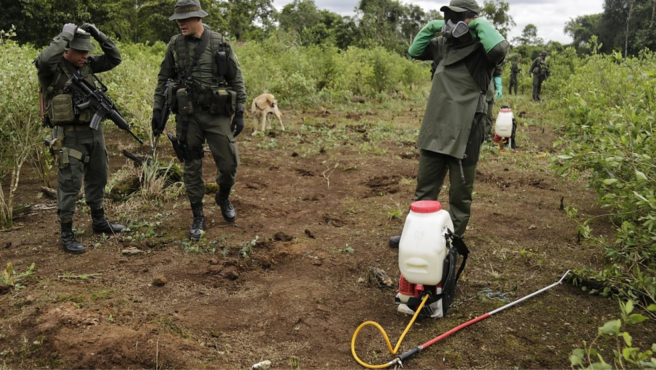 El ministro de Defensa, Pedro Sánchez confirmó un contrato para compra del herbicida glifosato para erradicación manuel de cultivos ilícitos.