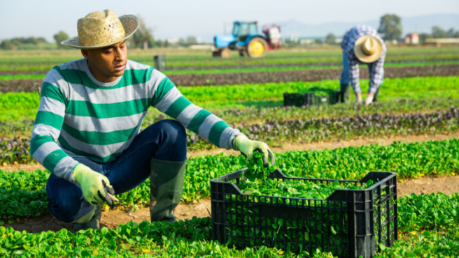 Esta estrategia representa un paso decisivo en la consolidación de un mercado laboral sostenible, competitivo e inclusivo en Colombia.