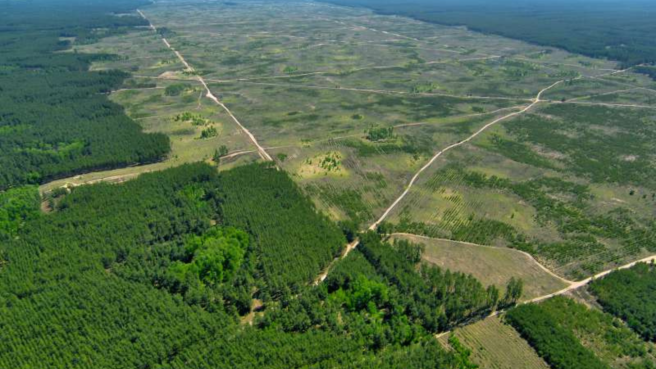 La deforestación no solo afecta grandes extensiones, sino también numerosos pequeños parches, como la .aparición de nuevos frentes de tala y ocupación en zonas críticas