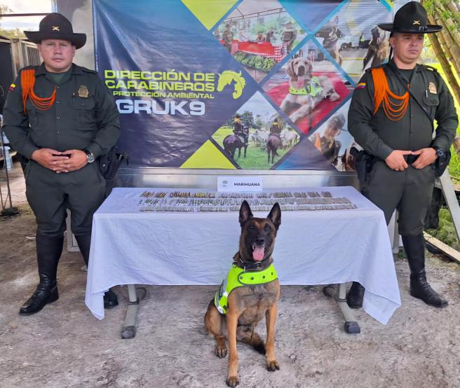 canino antinarcoticos