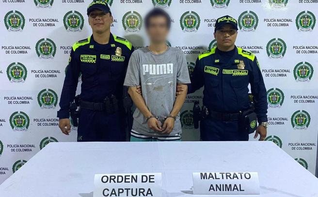 Alias Pitbull
