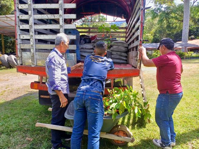 Alcaldía de Ibagué