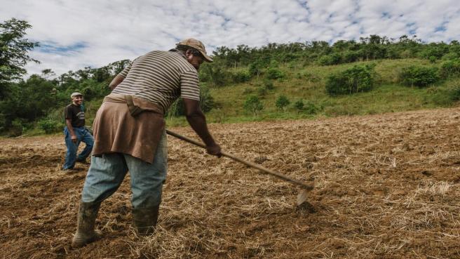 A través de esta iniciativa se busca mejorar la información para comprender la importancia de la agricultura campesina, familiar, étnica y comunitaria en el desarrollo territorial, económico, social y ambiental.