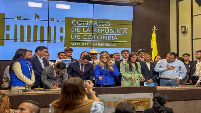 Entre los principales mecanismos que propone este proyecto de ley está la creación de bancos de proyectos juveniles, que buscan implementar plataformas para canalizar propuestas juveniles hacia la ejecución efectiva de proyectos locales.