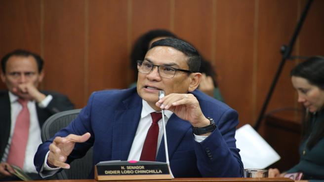 Didier Lobo, senador, Comisíón Quinta.
