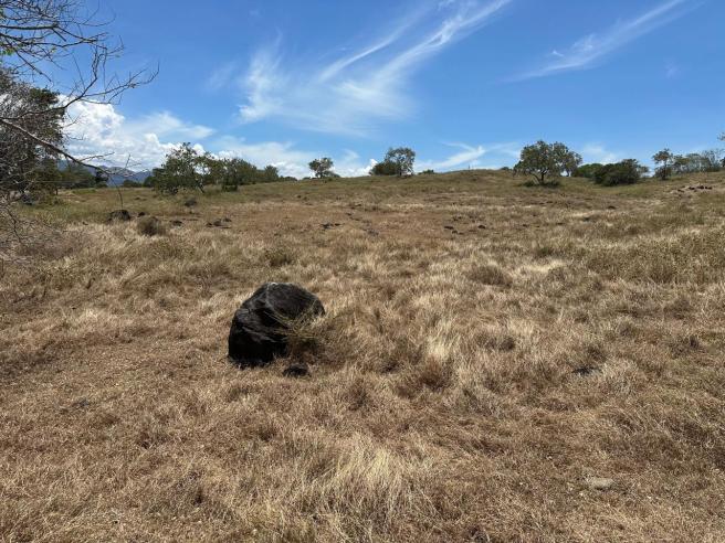 Terrenos para ael desarrollo del proyecto energétio Los Venados.