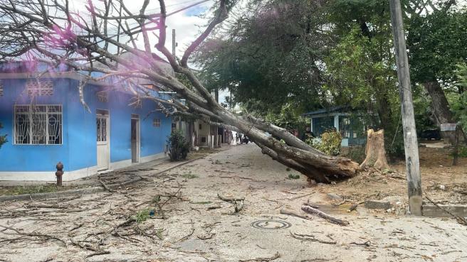 Caída Purificación