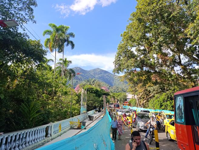 Samanes en el Tarraplén de la 10. 