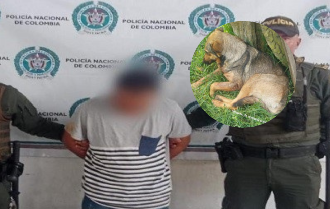 Captura Maltrato Animal