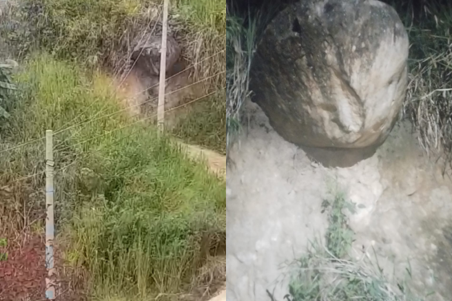 La comunidad esta a la espera para remover la roca.