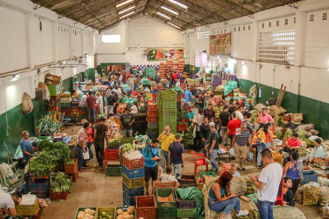 Escuadrón Ambiental’ en la Plaza La 21