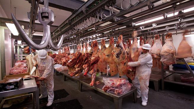 Colombia exporta carne, visceras, animales vivos y lácteos a varios países del mundo.