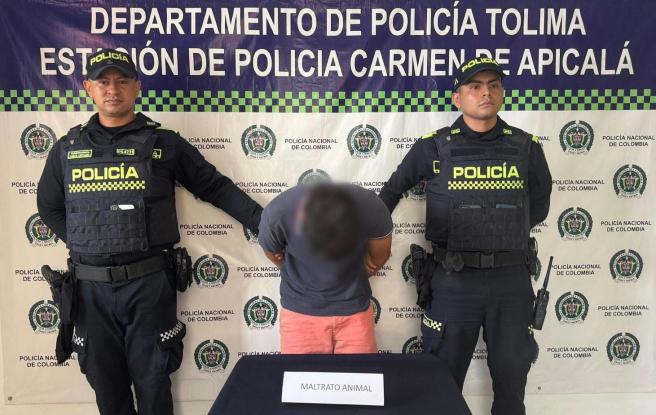 Maltrato animal
