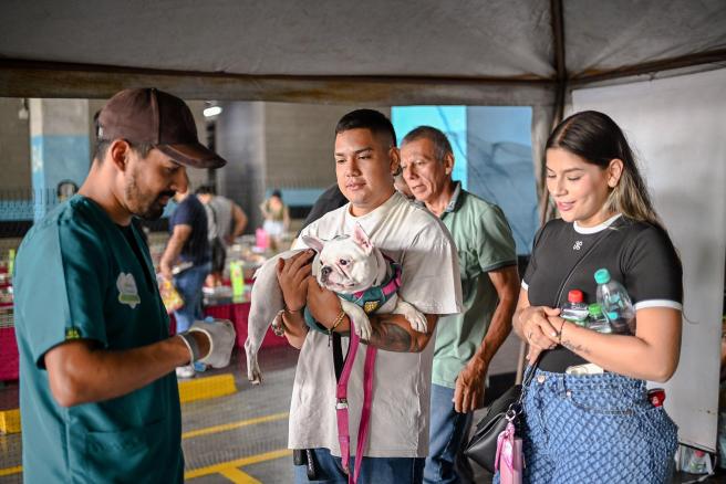 Instalación de microchips a mascotas en Ibagué