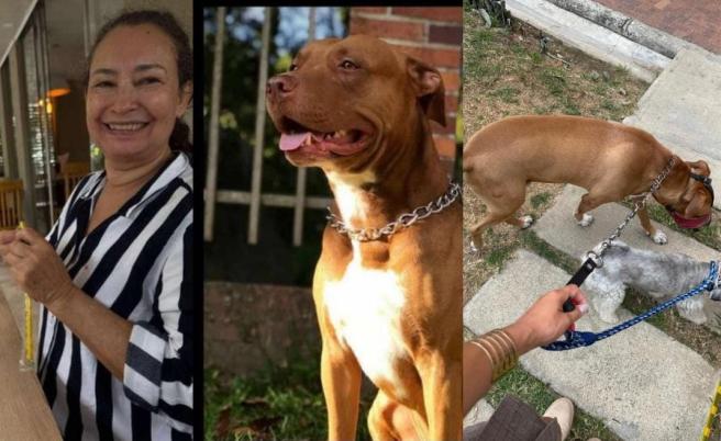 Desaparecida con mascotas