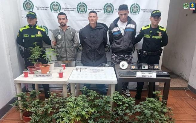 Capturados Marihuana