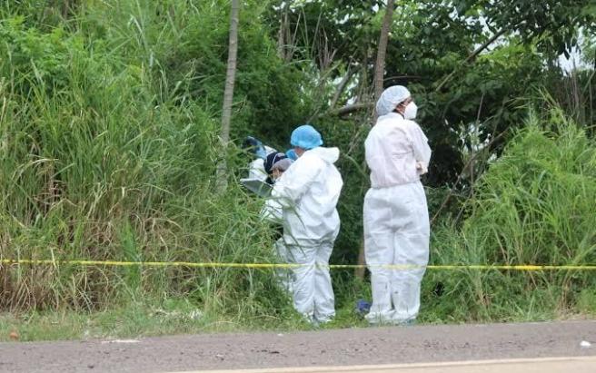 Cadáver Palocabildo