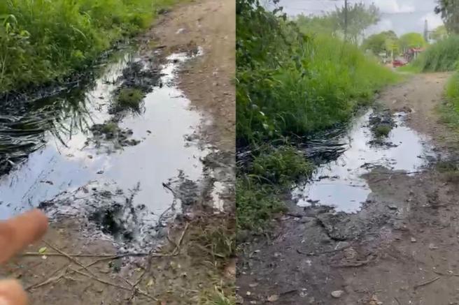 El hombre señala que la problemática es tendría un fuerte impacto ambiental.  