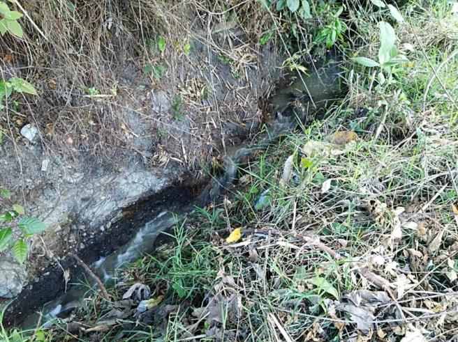 Concejo de Ibagué institucionaliza el Día Municipal de la Conservación del Río Opia