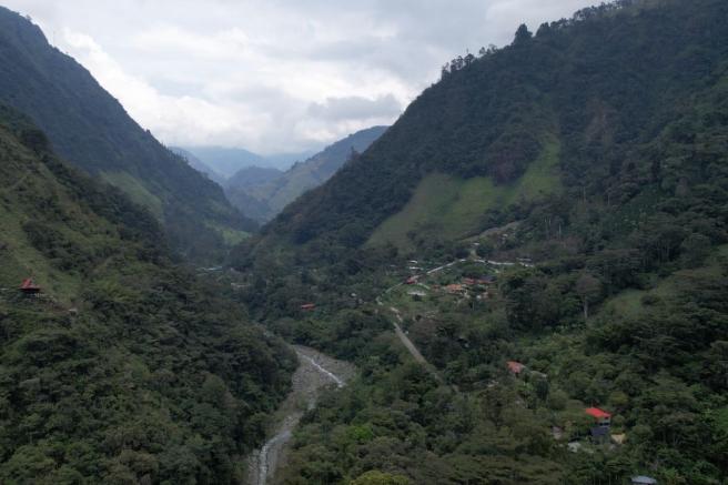 Proyecto de cuidado del medio ambiente.