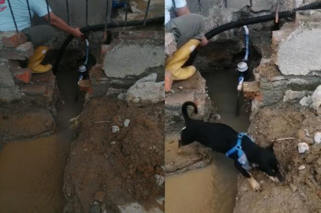 fallas en el servicio de alcantarillado. 