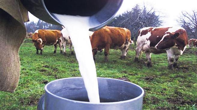 Gestión parlamentaria permitió mejorar las exportaciones de leche y papa de Colombia